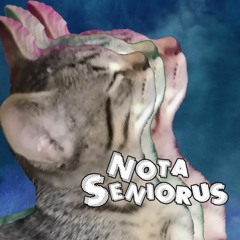 Nota-san