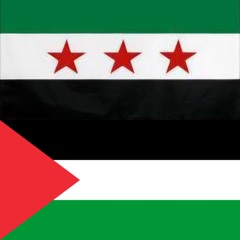 نشيد _ عادت دمشق _ أنشودة النصر