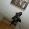 Junior fainda