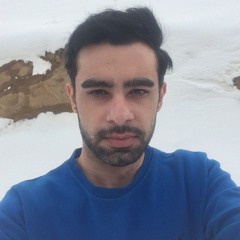 mohammadmahdi vafadar