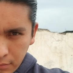 David C Sandoval