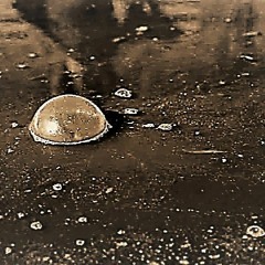 Grubby Bubble
