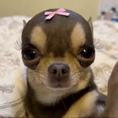 ‎