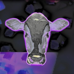 The Noisy Bovine 🐄