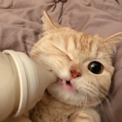 지은