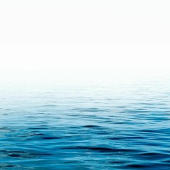 Oasis of Calm