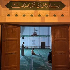 Esraa Aiman El-Gendi