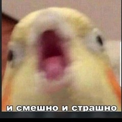 Даня Турчин