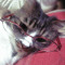 ☆lila☆