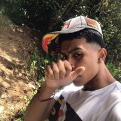 Stevan Martinez