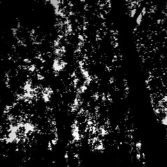 __dirtyblackchild__