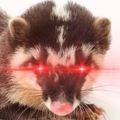 Stentorus