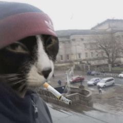 спящий панк