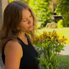 THE INSTTUTION LIES. lois powell