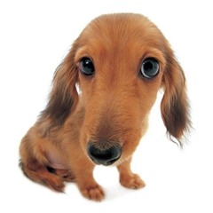 04 - It All Comes To This