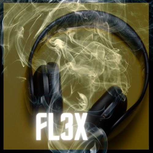Topic - Why do you lie to me (FL3X RMX)