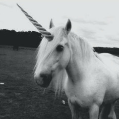 bugsonfire