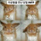 찰리