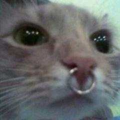 omgitscharlielol