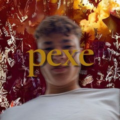 pexe16146