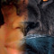stebendylion