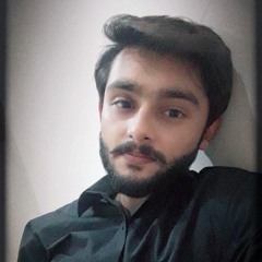 Roeel Shahzad