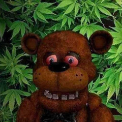 mr freddy fazweed