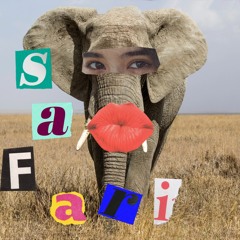 safariimusik