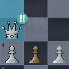 Chess pro