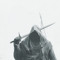 فارس الرماد The Ashe Knight