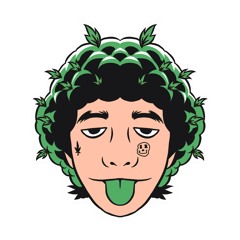 POLO PI
