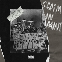 SCRIMINPAINT