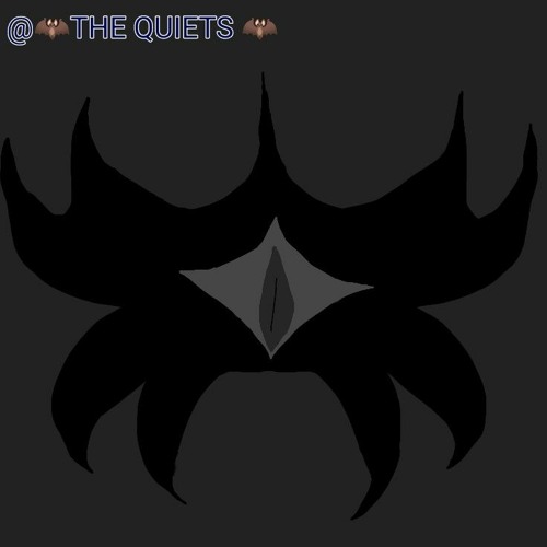 🦇THE QUIETS 🦇’s avatar