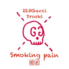 223Gacci