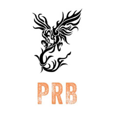 Project Baby Records