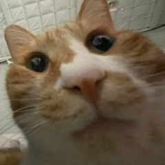 젬민