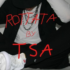 the_real_TSA