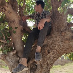 Yassin Elzawawy
