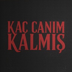 kaç canım kalmış