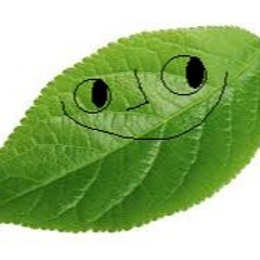 Leaf_