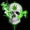 THE GREEN LEAF