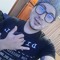 Steven u reiban