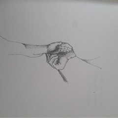 siemprequiseconocerunpinguino