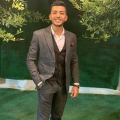 Ahmed Hussien Elshafei