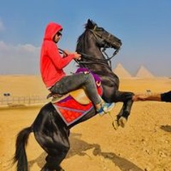 Ahmed Ali