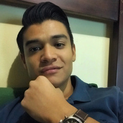 Brandon Venegas Bolaños