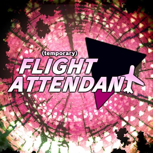 Temporary Flight Attendant 6: Now Landing’s avatar