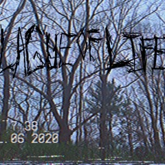 PlagueOfLife