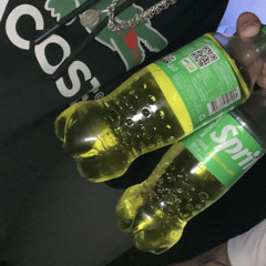 ripvicho
