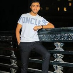 Shady E. Fouad